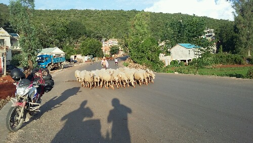 20150624_185836.jpg