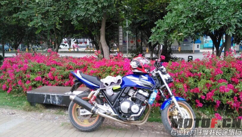 QQ图片20150628135734.jpg