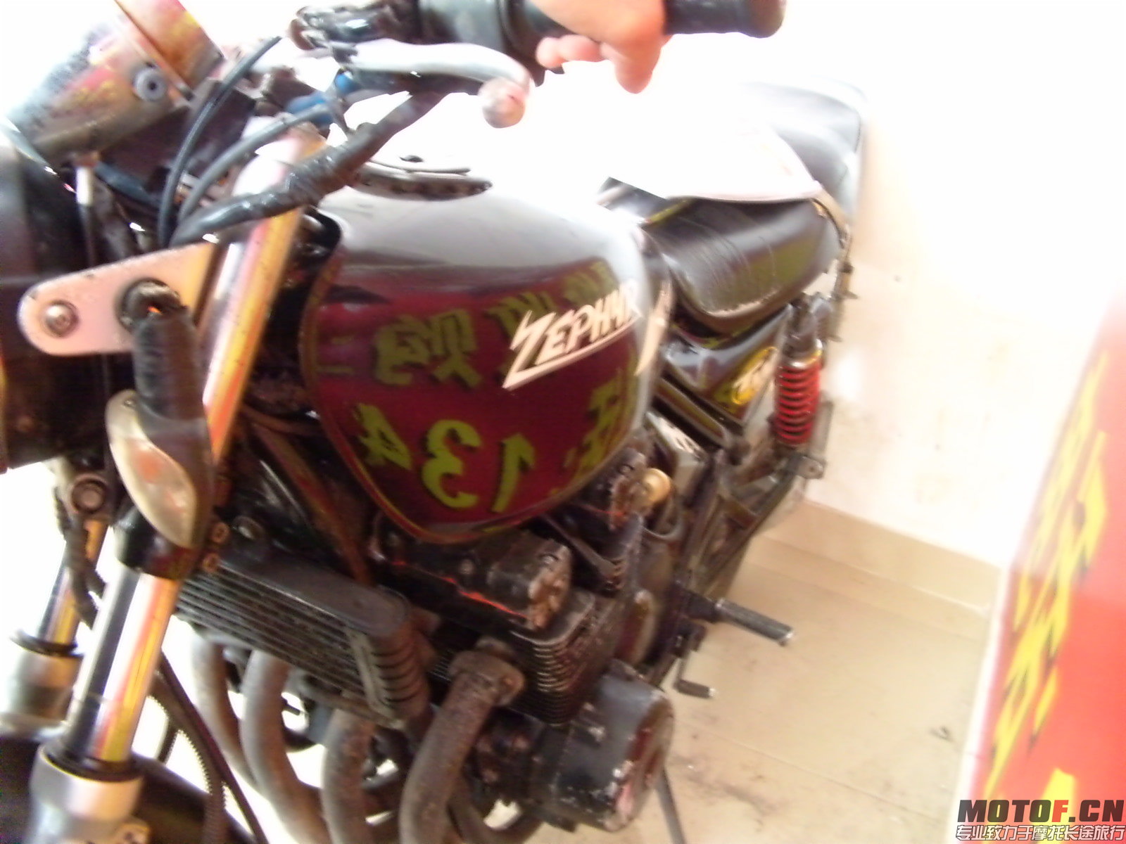 DVCI1756.JPG