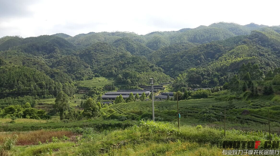 QQ图片20150629093630.jpg