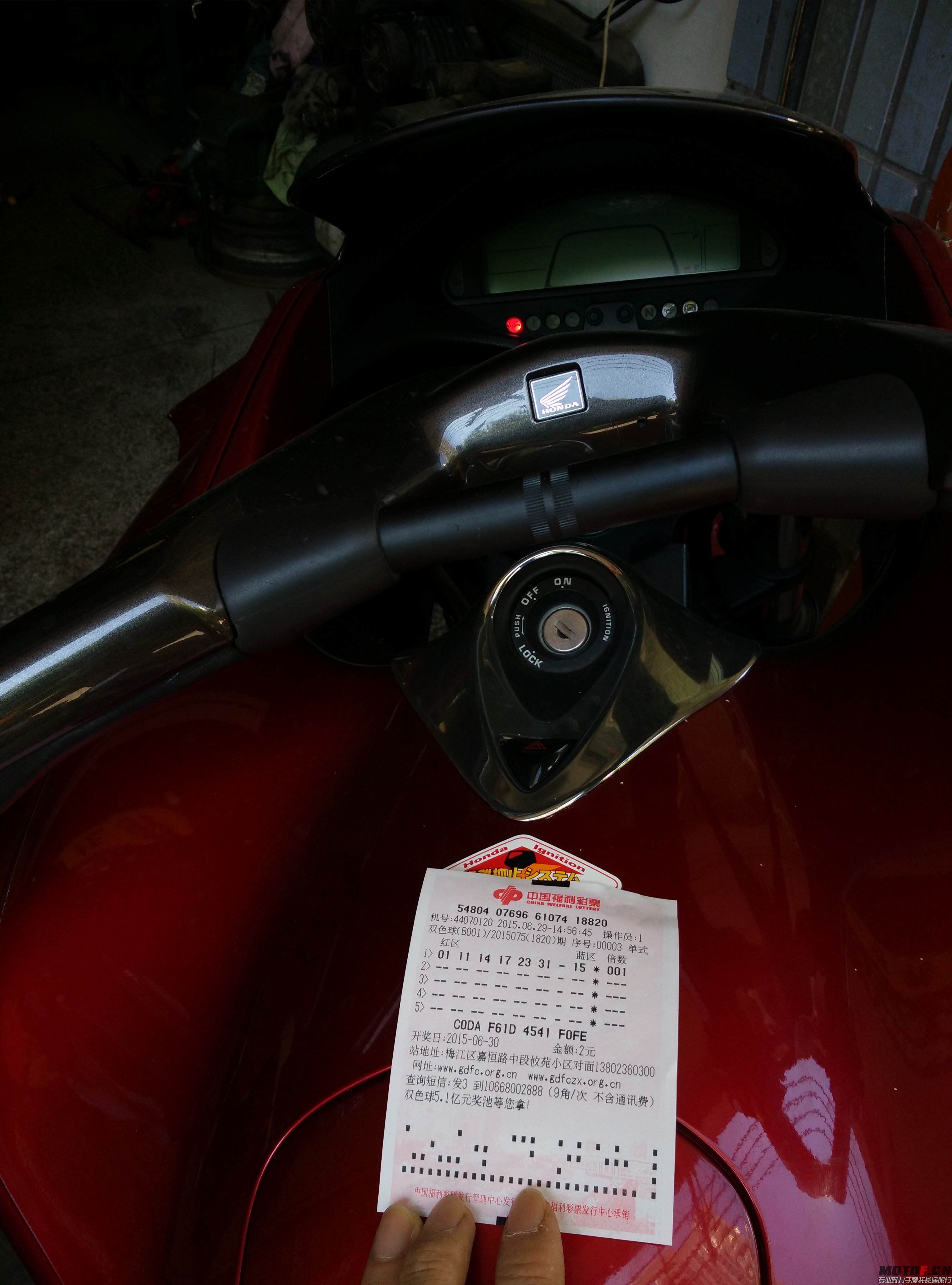 IMG_20150629_150659.jpg
