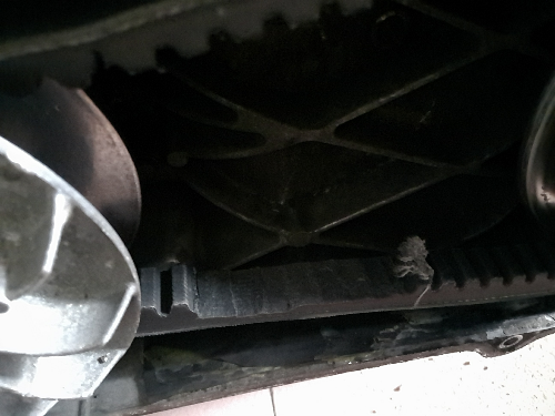 IMG20150701151134.jpg