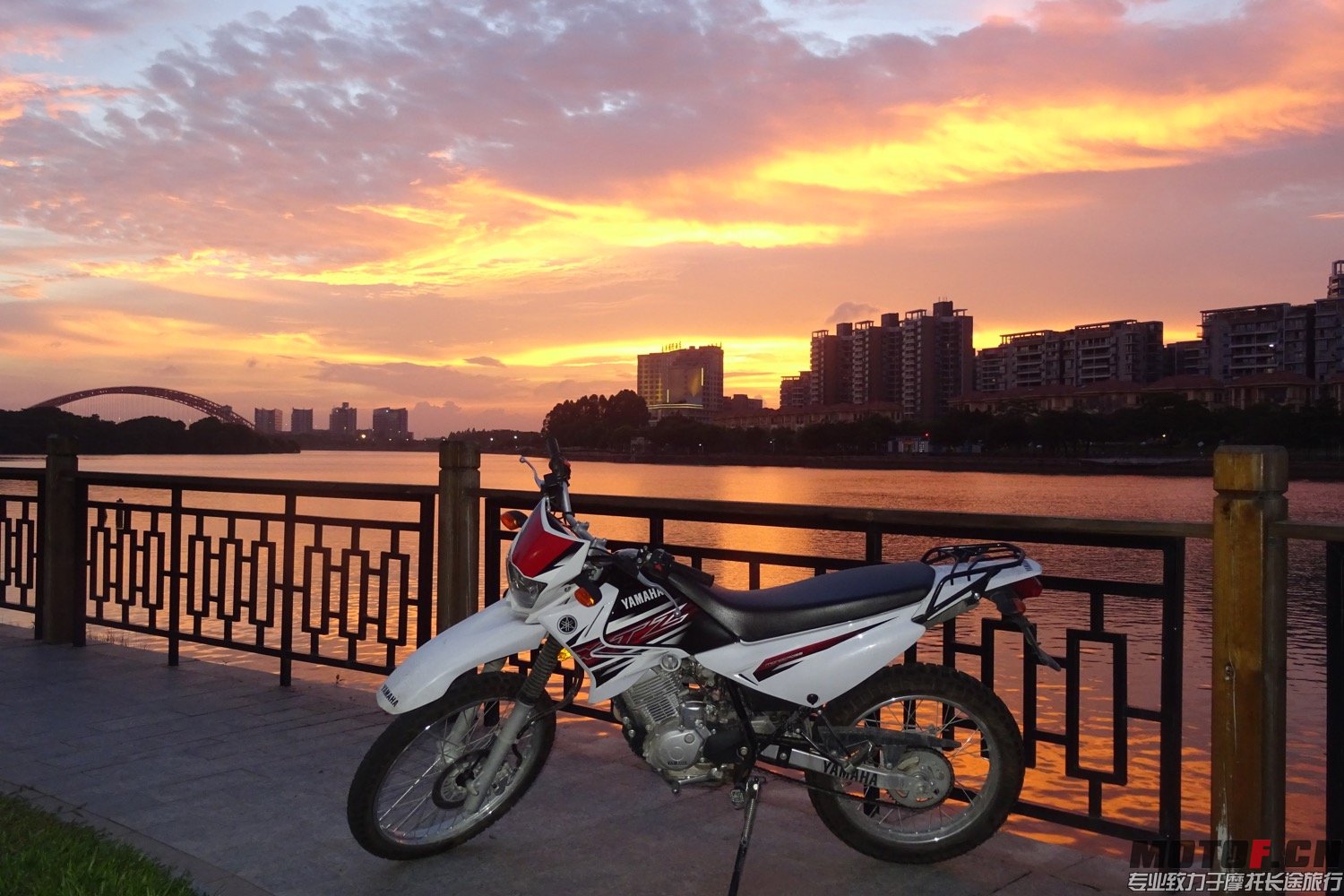 DSC09607.jpg