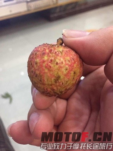 image.jpg
