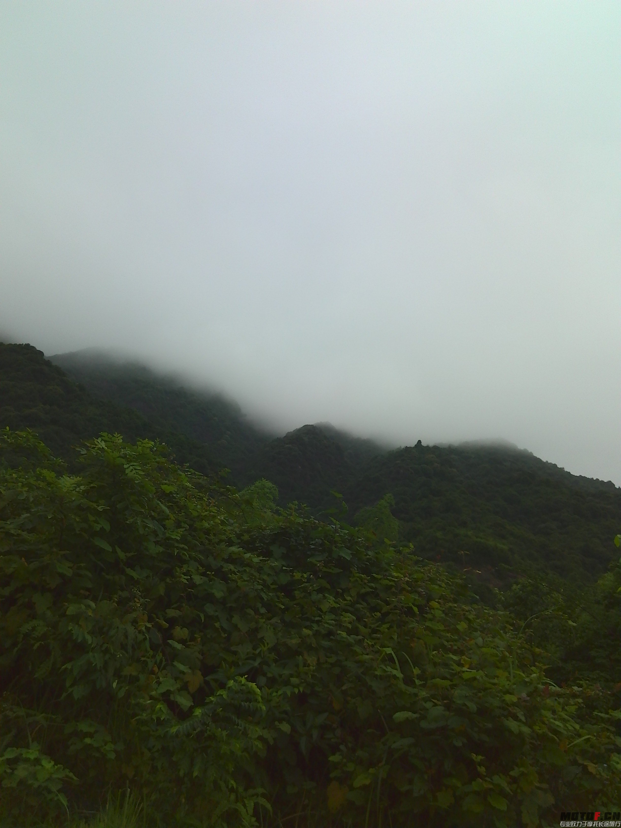 IMG_20150706_064153.jpg