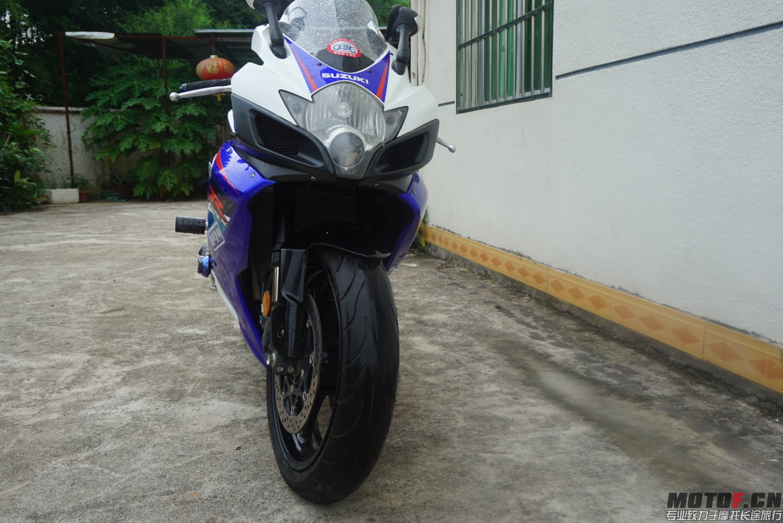 55555IMG_5742.JPG