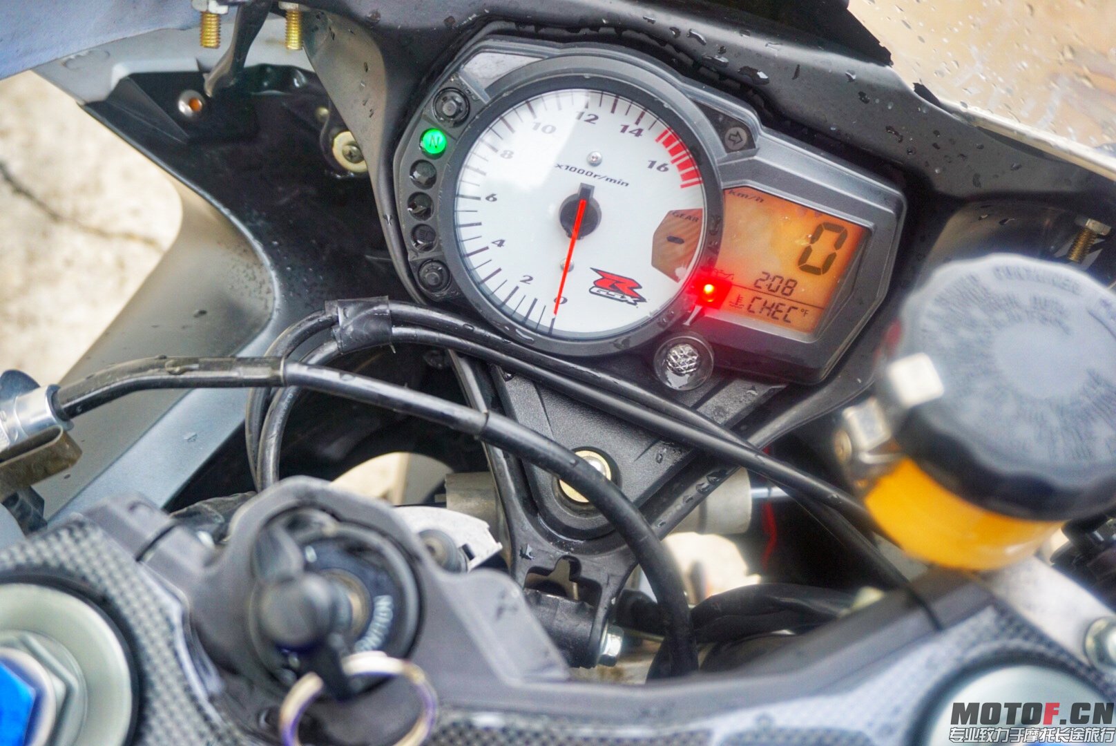 55555IMG_5764.JPG