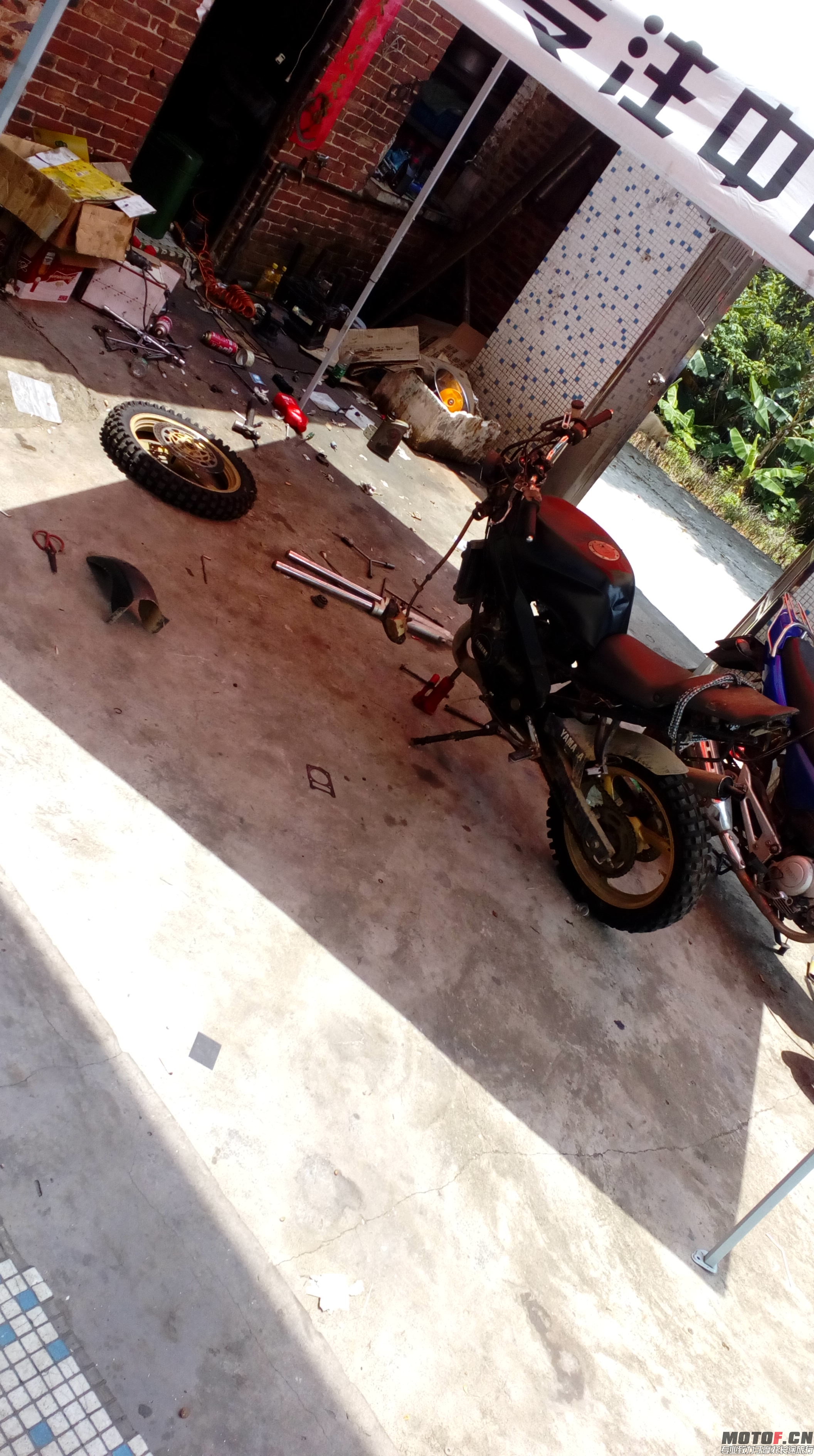 IMG20150715120531.jpg