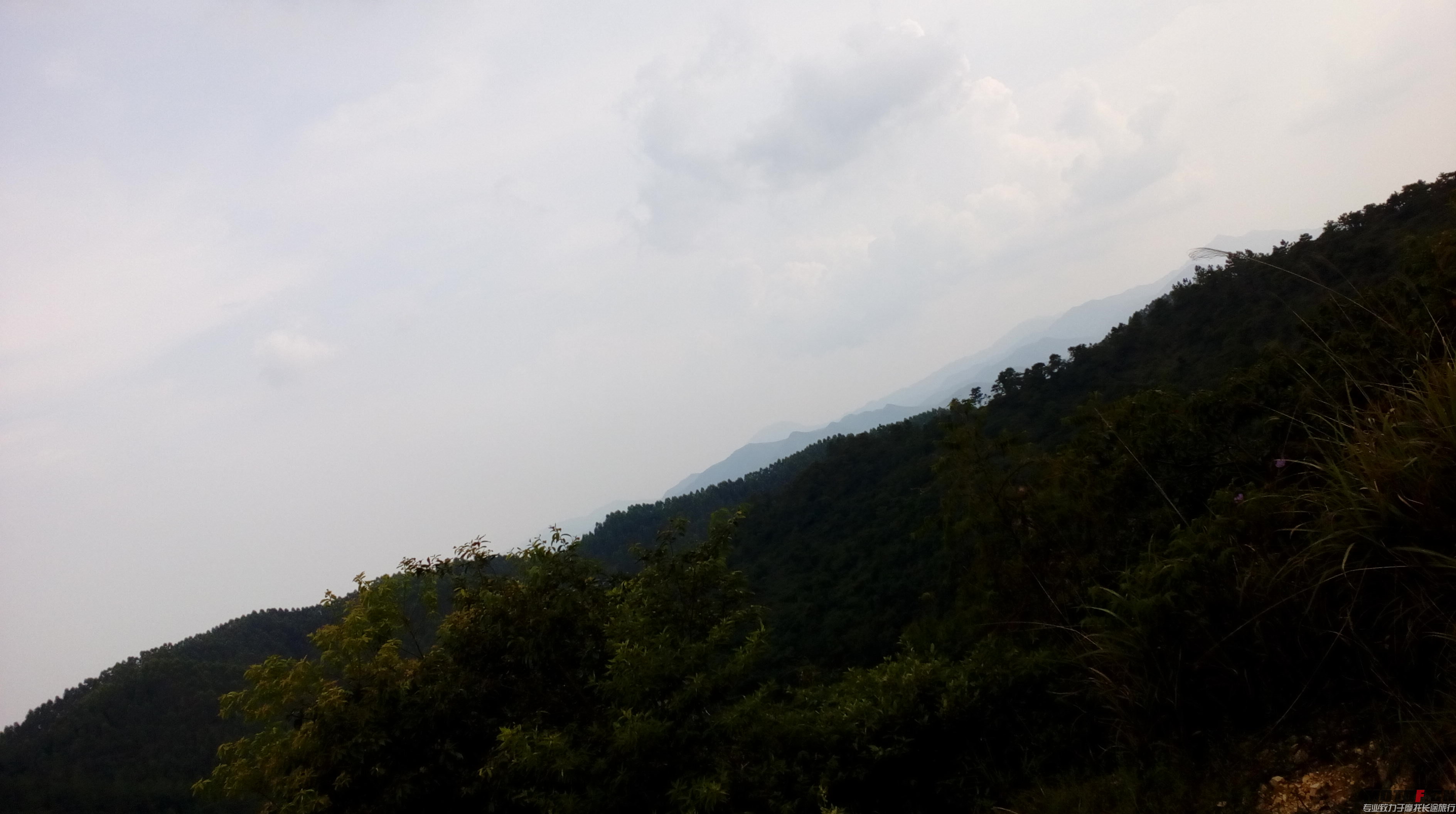 IMG_20150716_152153.jpg