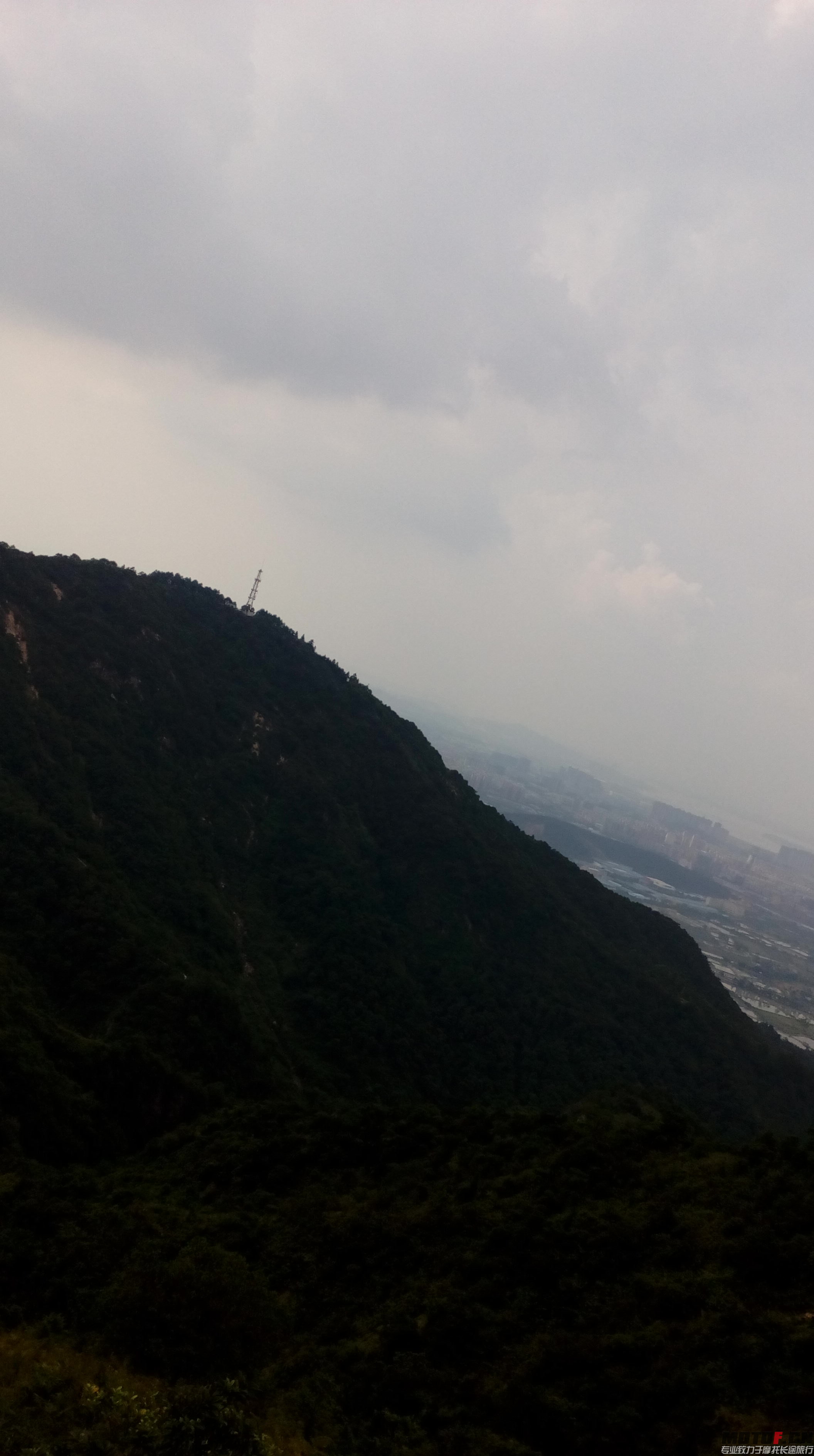 IMG_20150716_155013.jpg