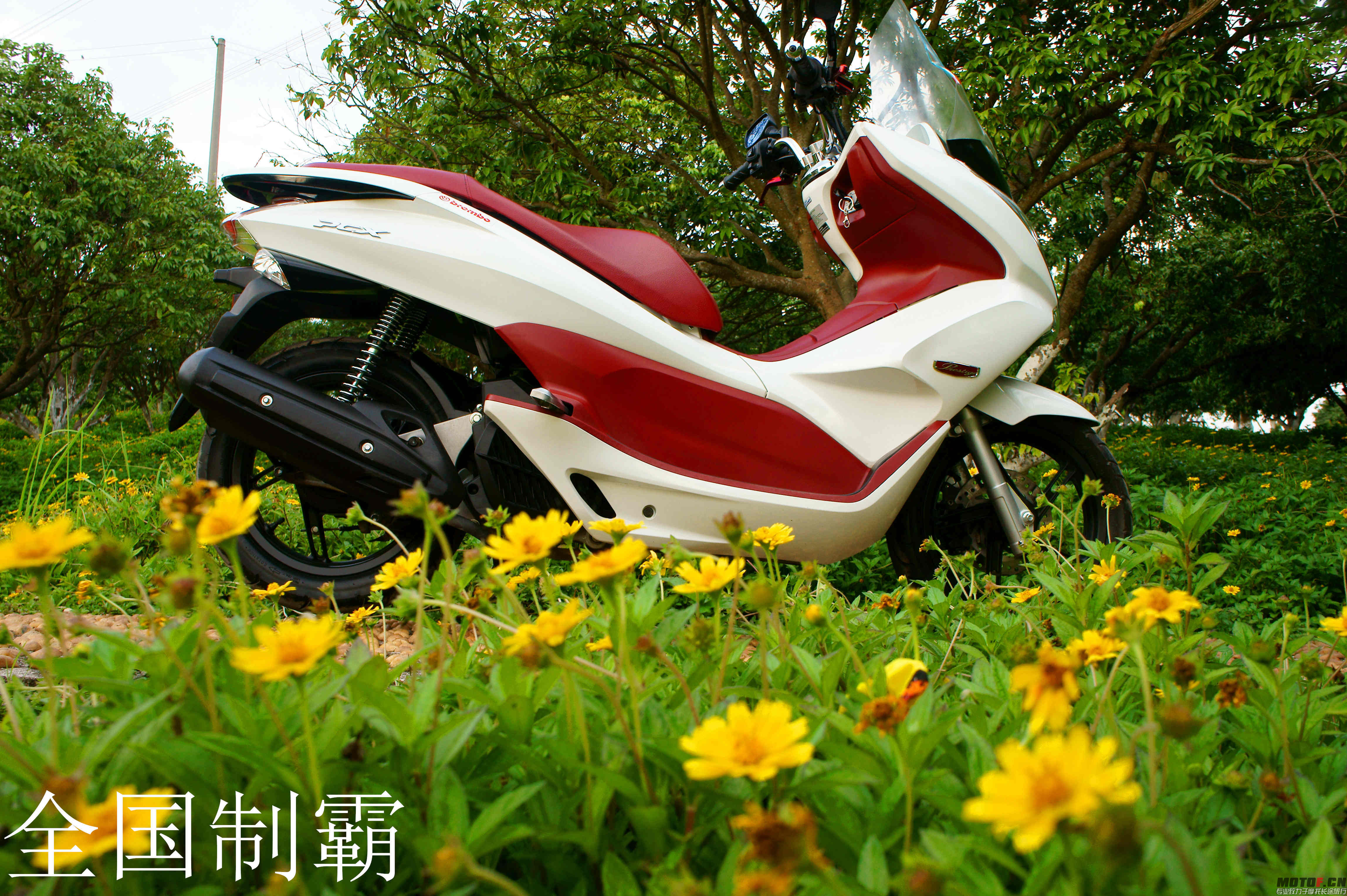 DSC07582_副本.jpg