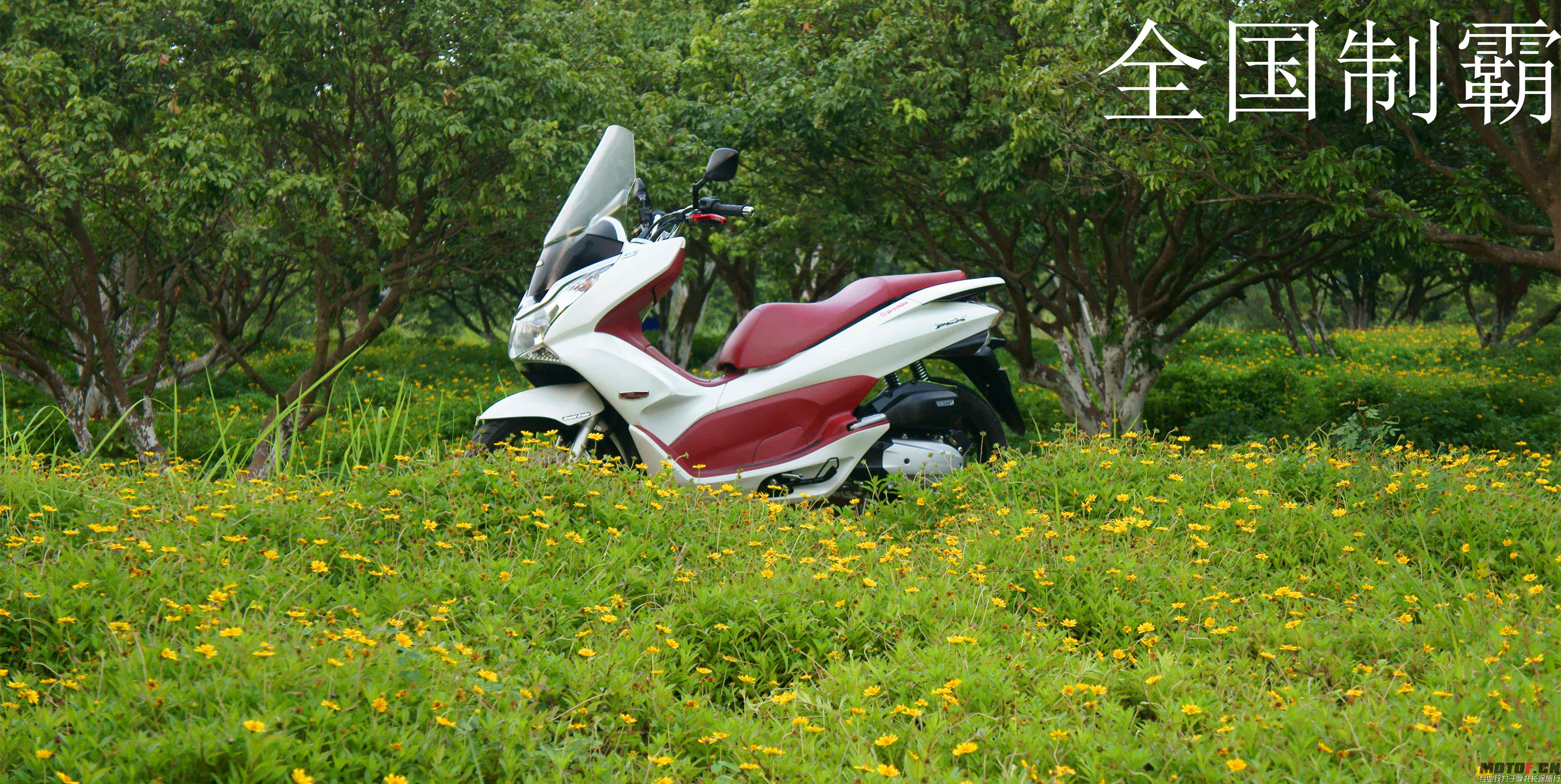 DSC07592_副本.jpg