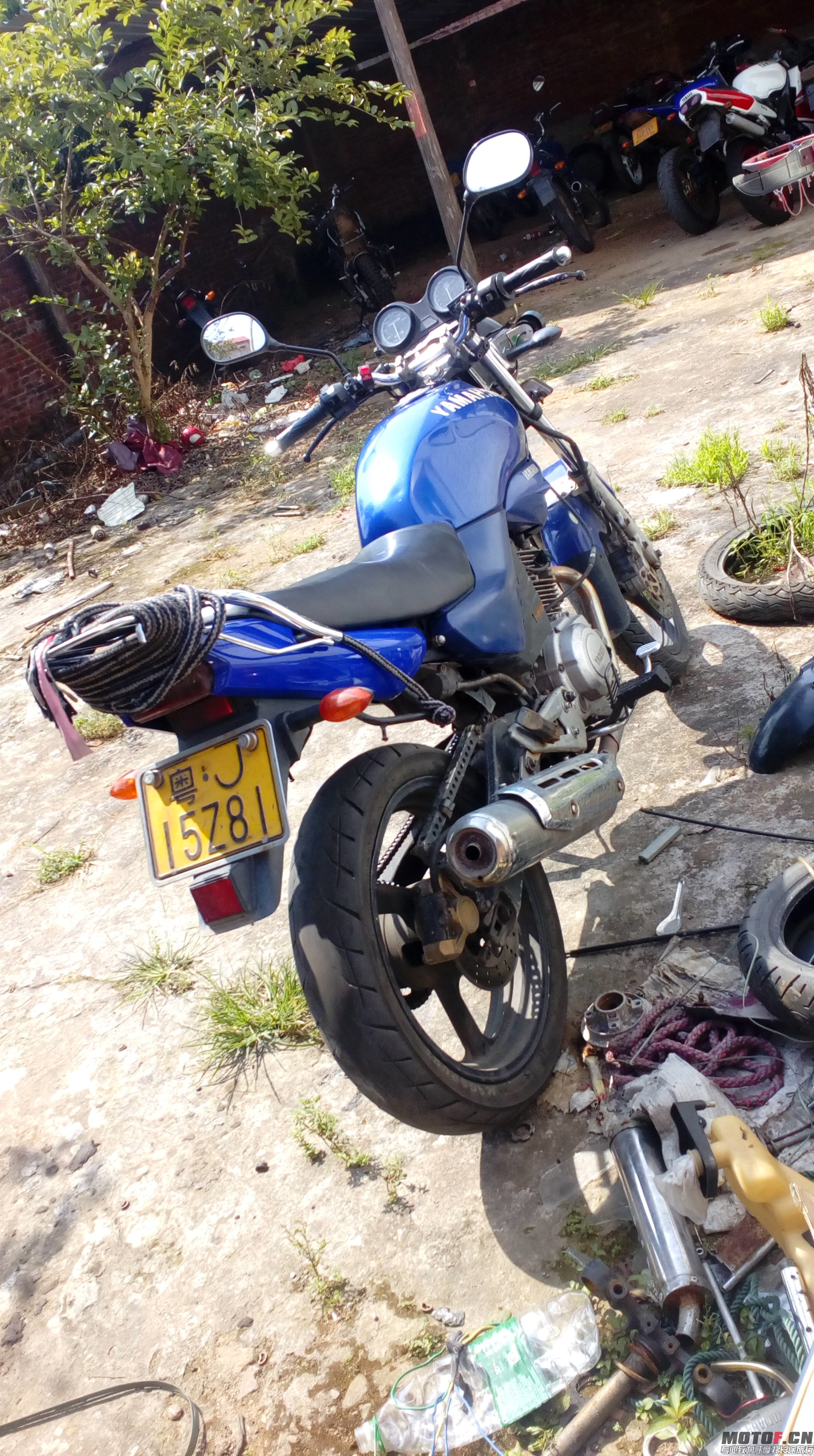 IMG20150714151545.jpg