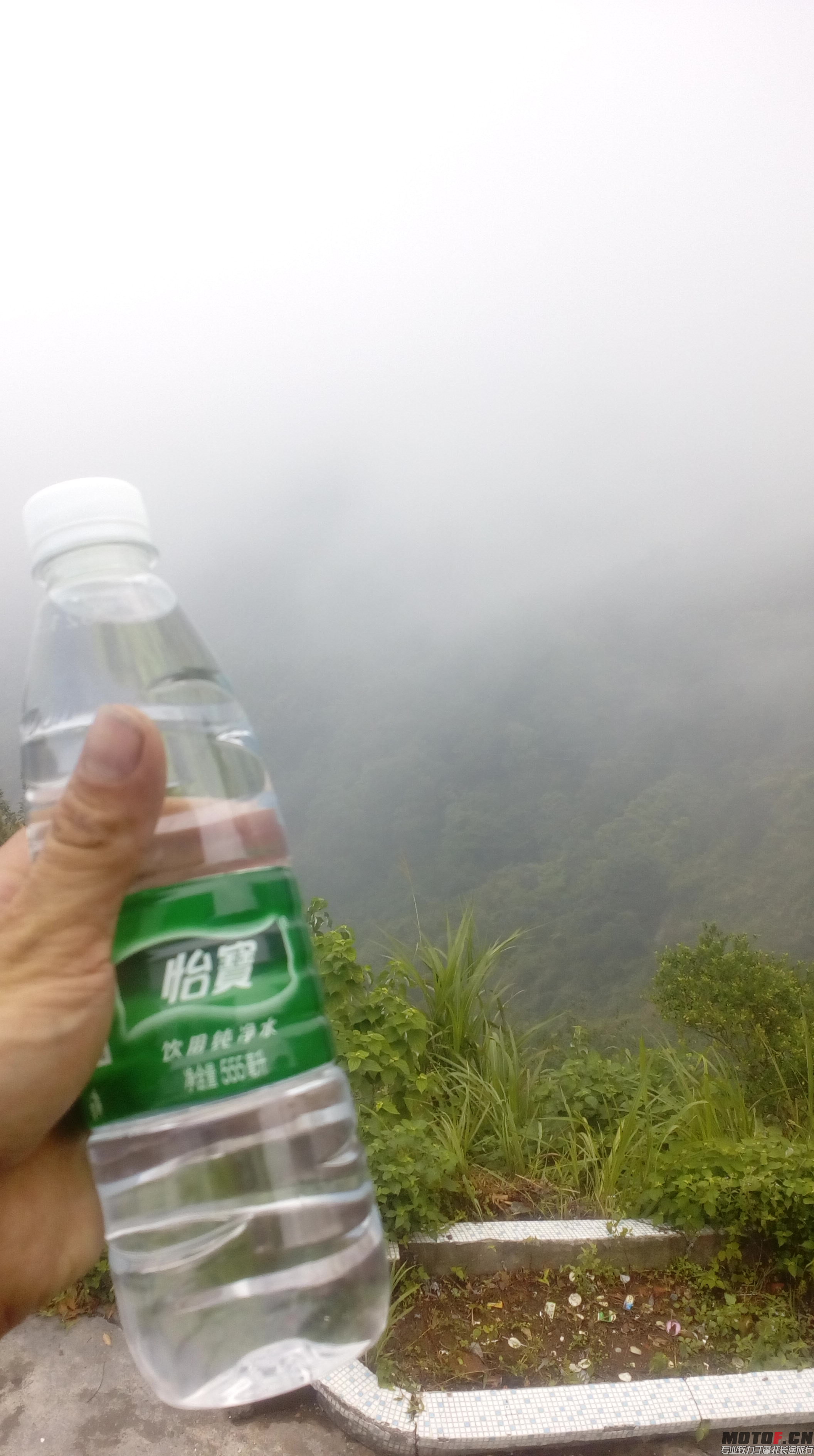 IMG20150720073907.jpg