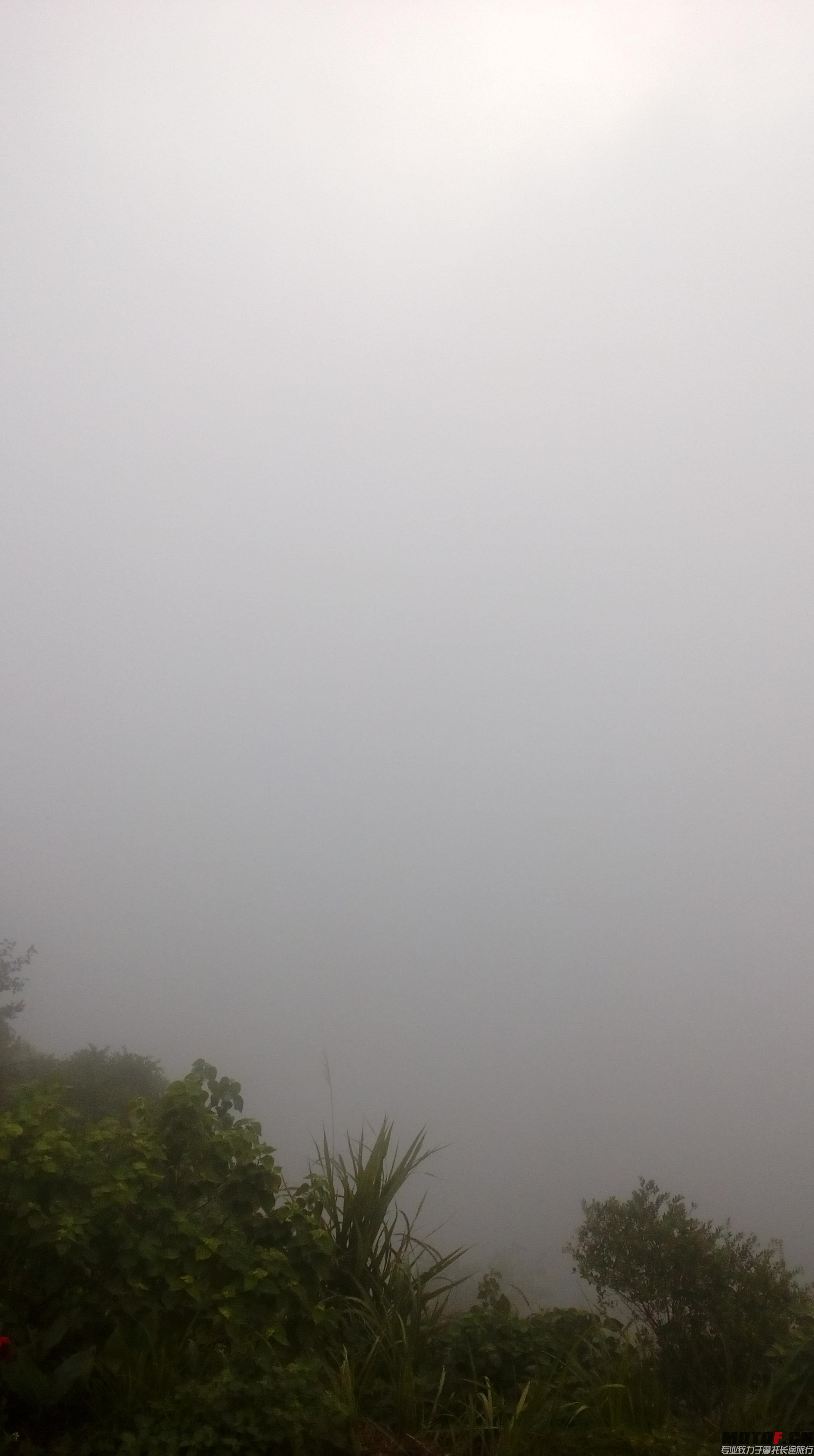IMG_20150720_074140.jpg