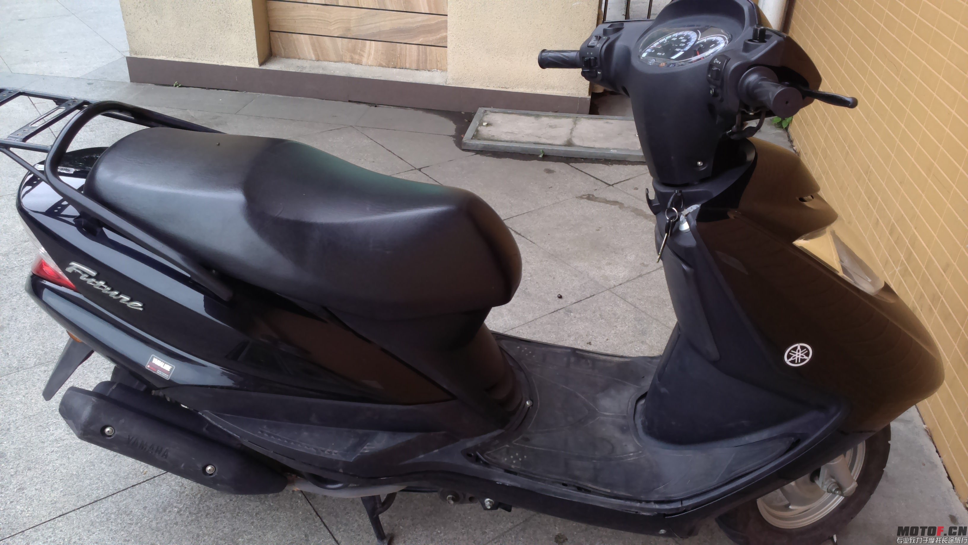 IMAG0011.jpg