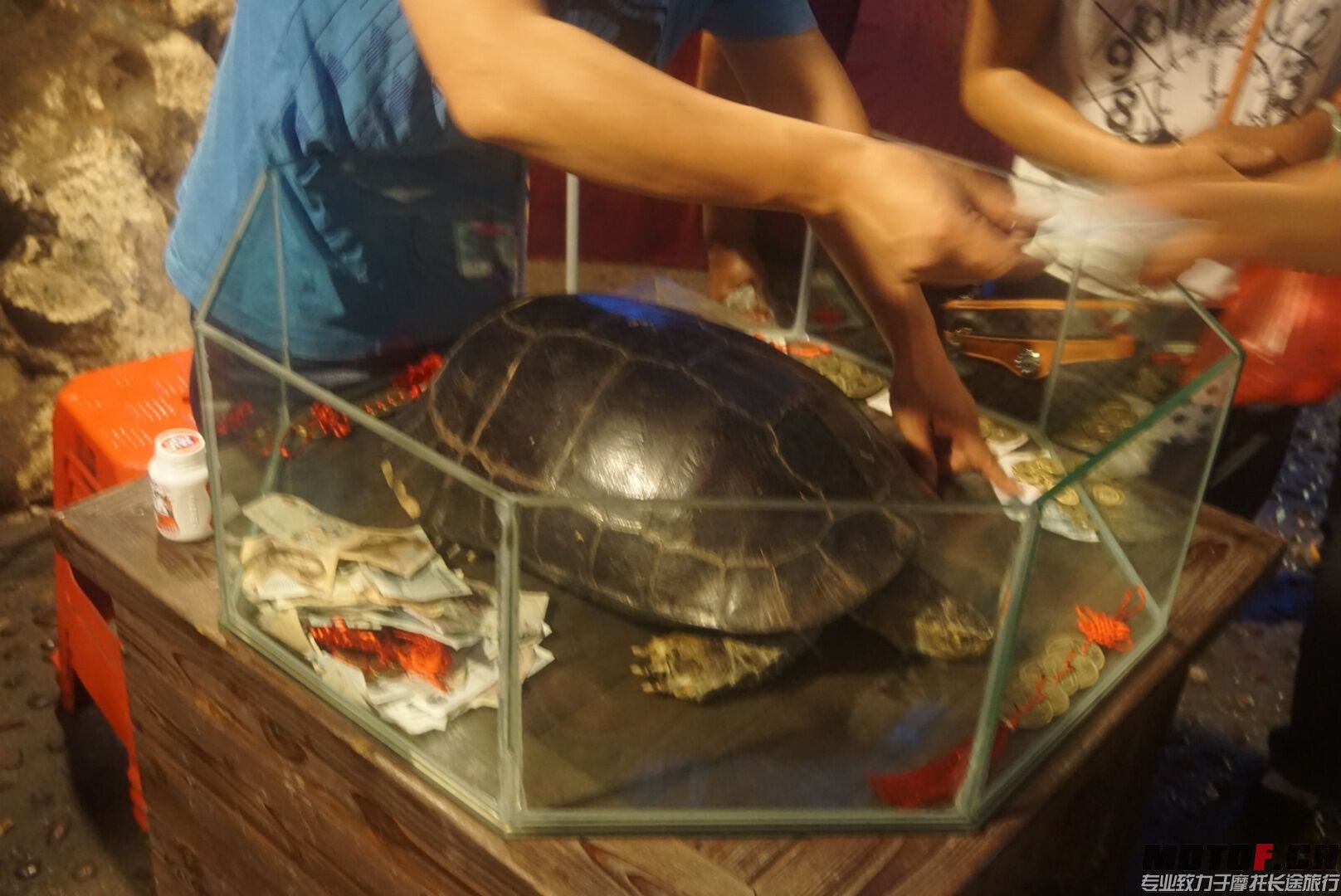 QQ图片20150728200626.jpg