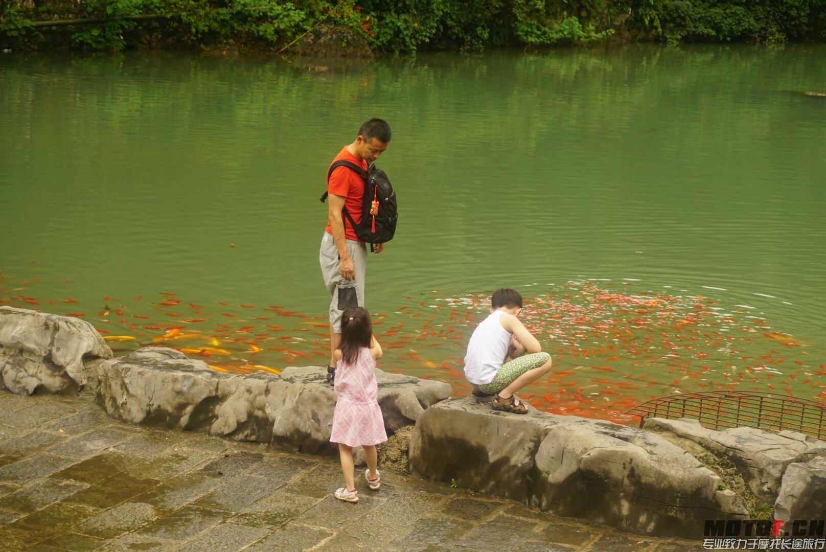 QQ图片20150728200614.jpg
