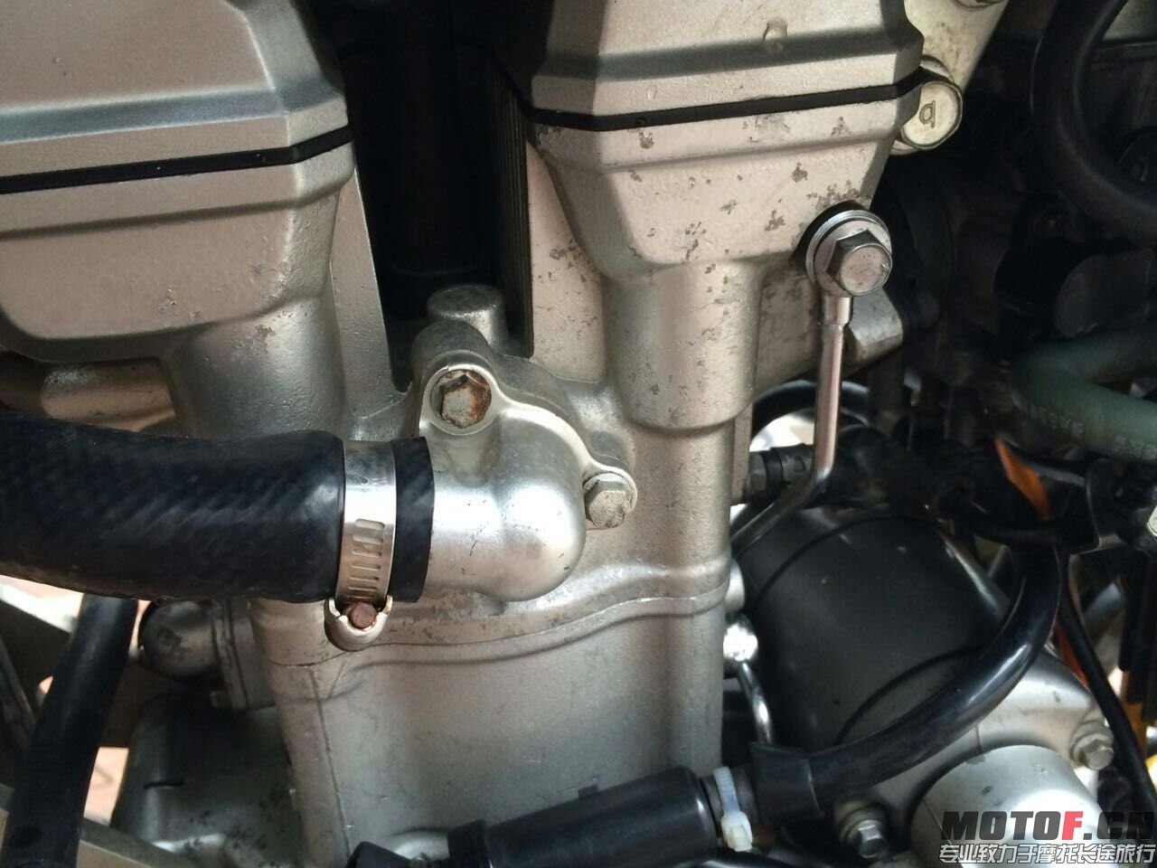 mmexport1438332392926.jpg