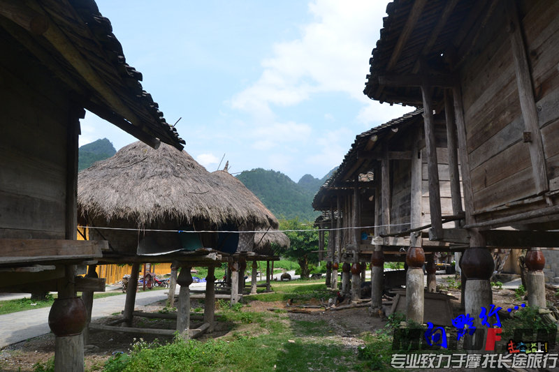 DSC_4462.jpg