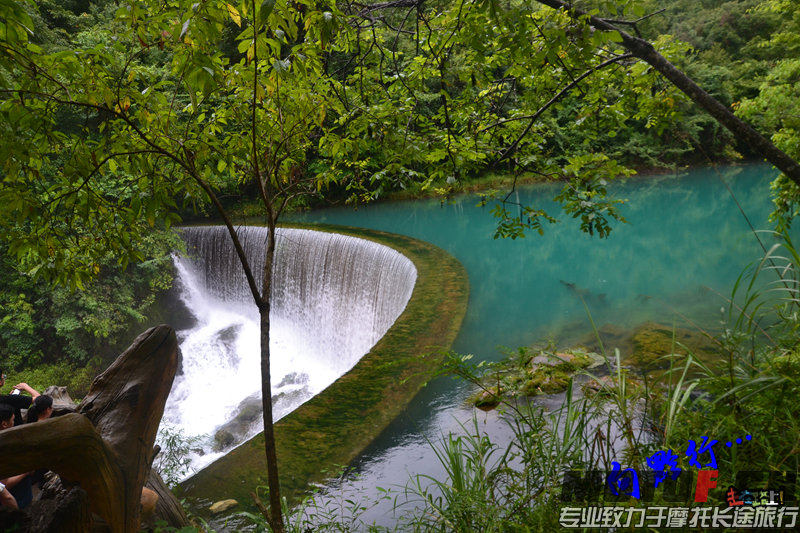 DSC_4740.jpg