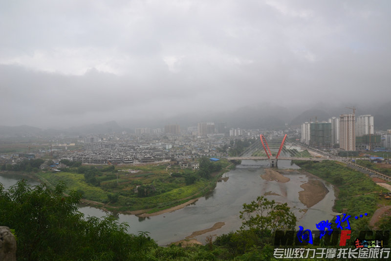 DSC_5460.jpg