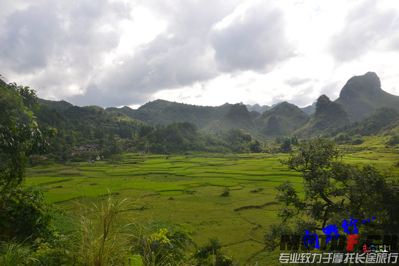 DSC_5485.jpg