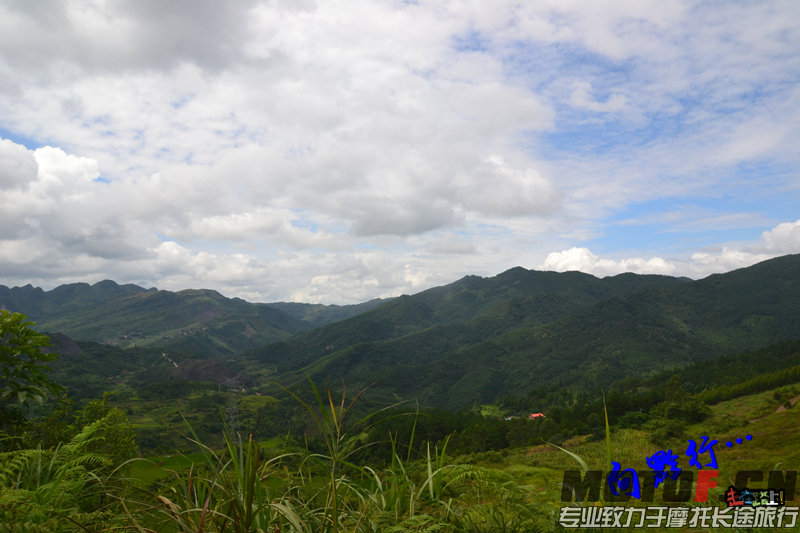 DSC_5571.jpg
