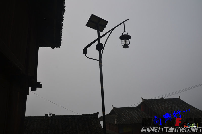 DSC_5805.jpg