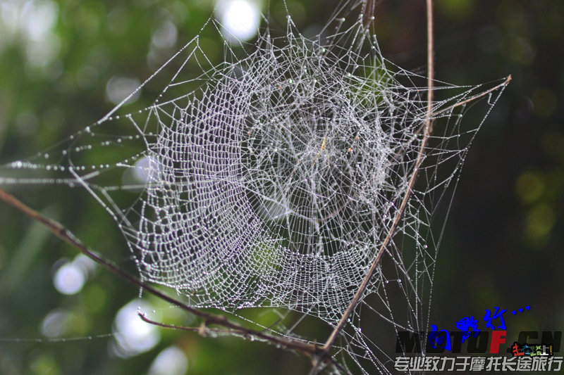 DSC_5864.jpg