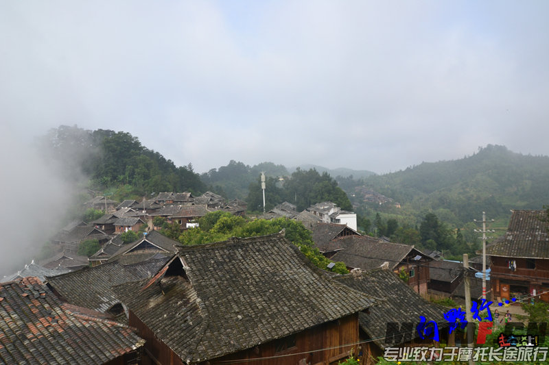DSC_6117.jpg