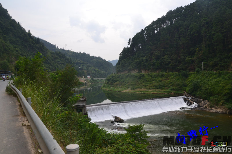 DSC_6896.jpg