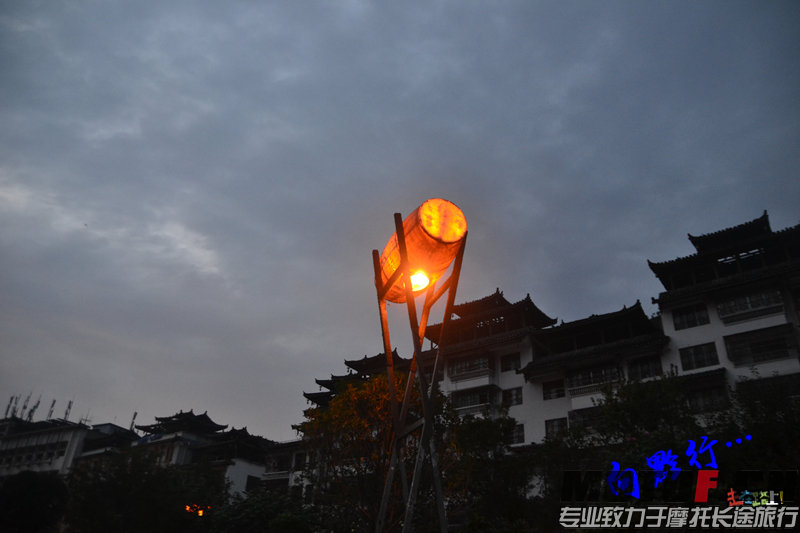 DSC_6988.jpg