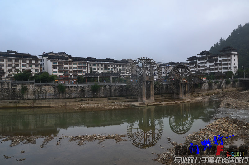 DSC_7030.jpg