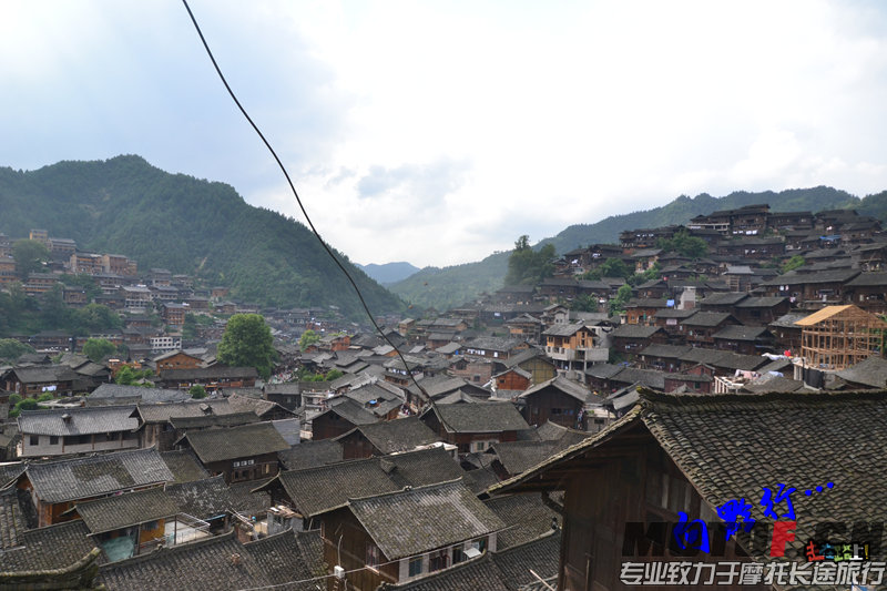 DSC_7658.jpg