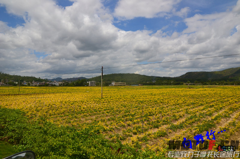 DSC_8731.jpg