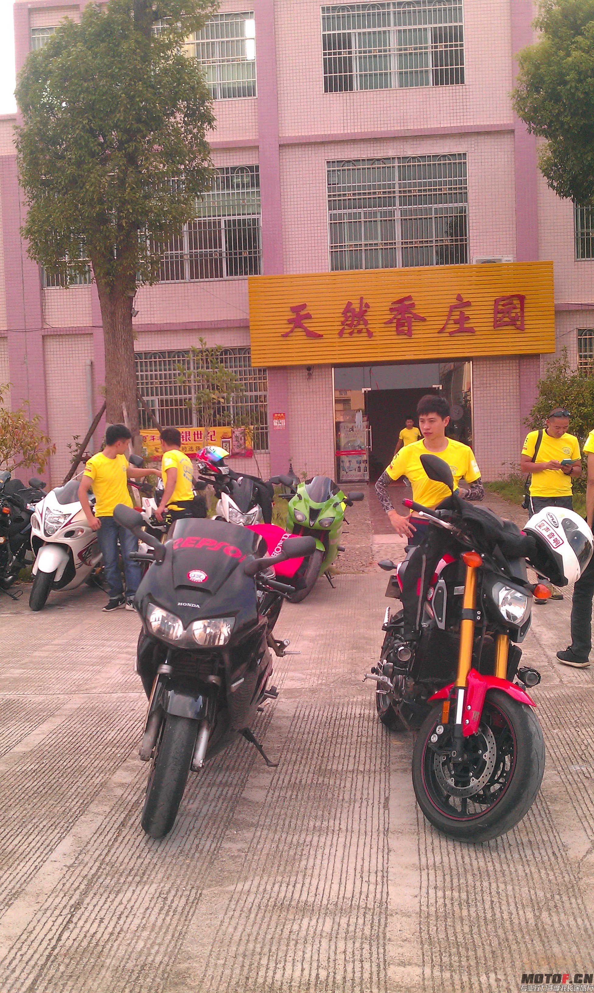 IMAG2462.jpg