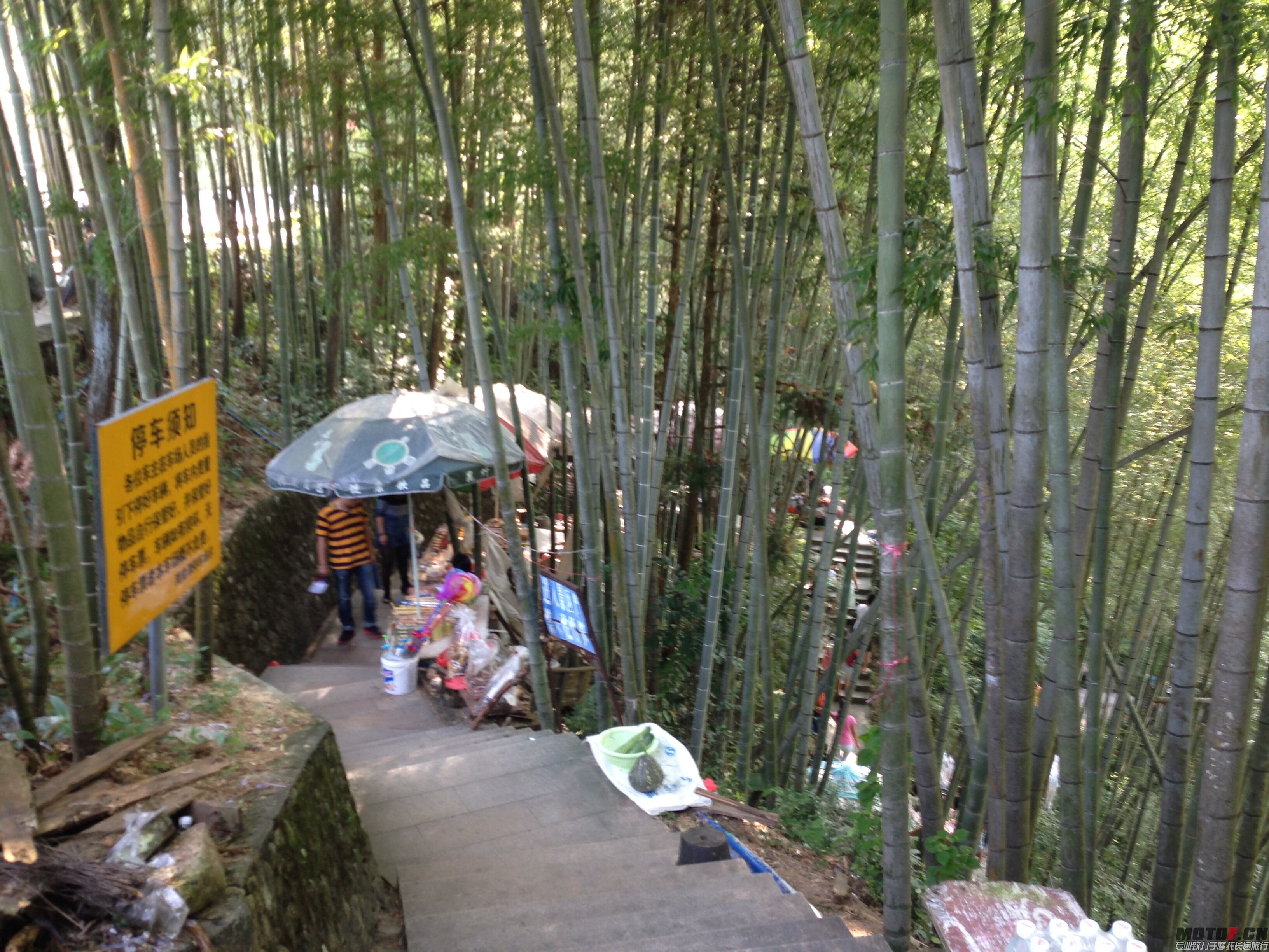 QQ图片20150809215238.jpg