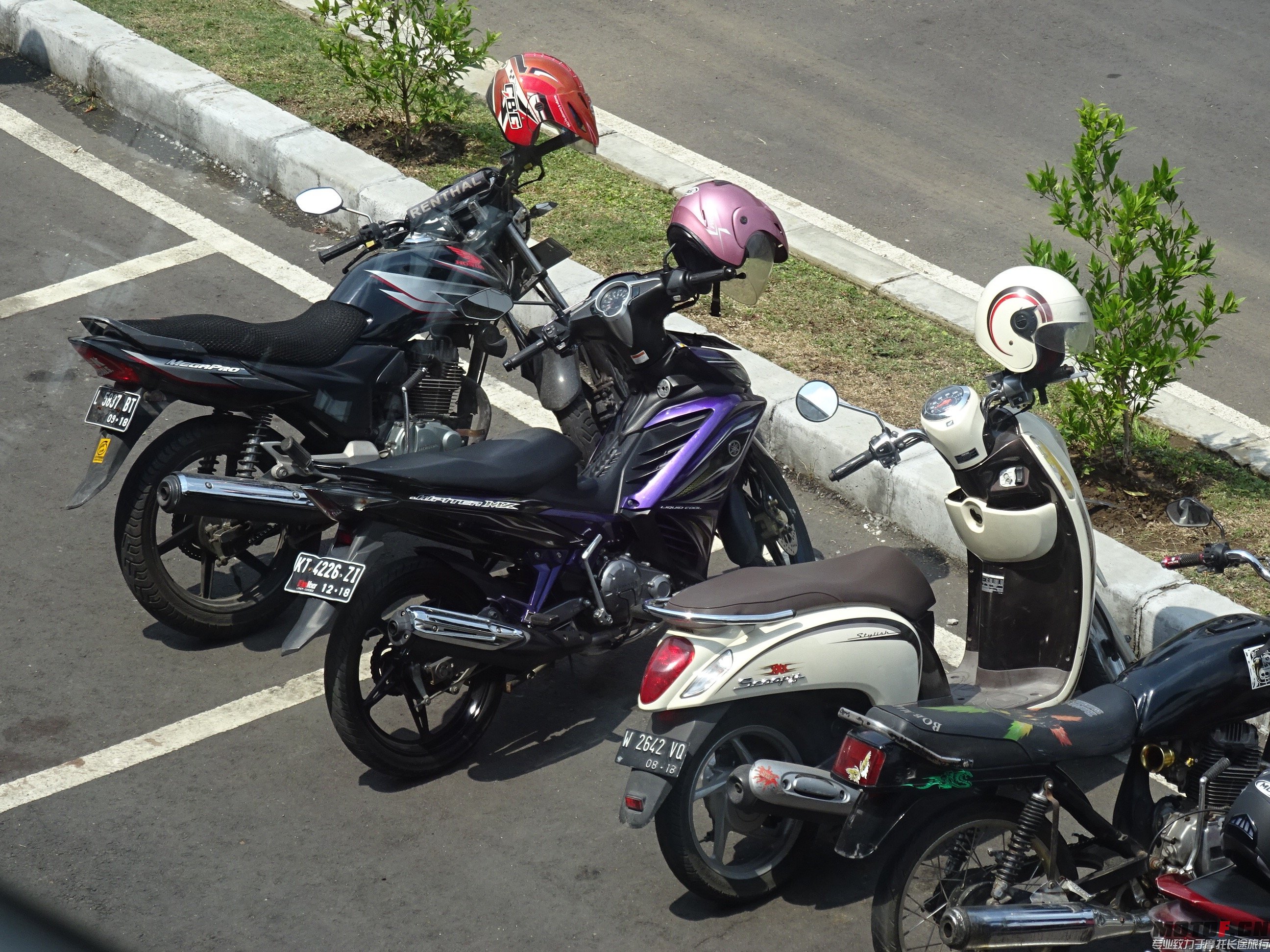 DSC01042.jpg
