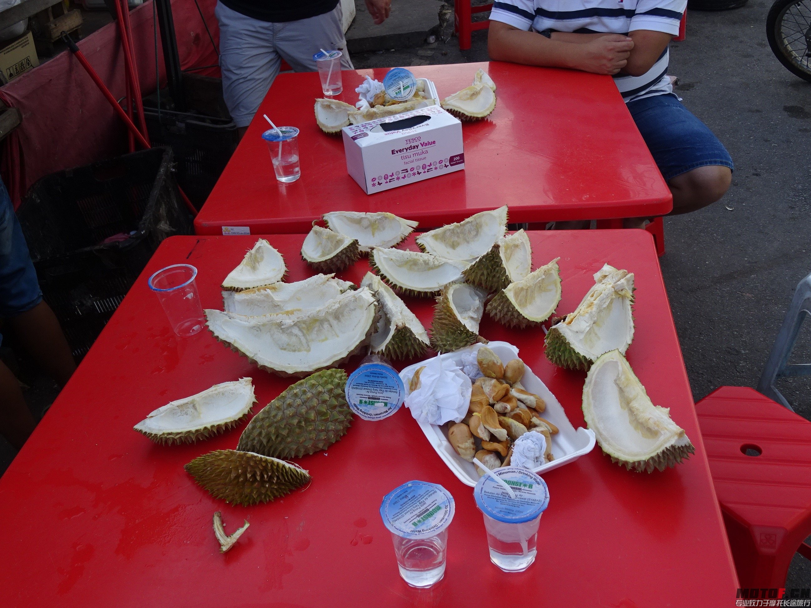 DSC01106.jpg