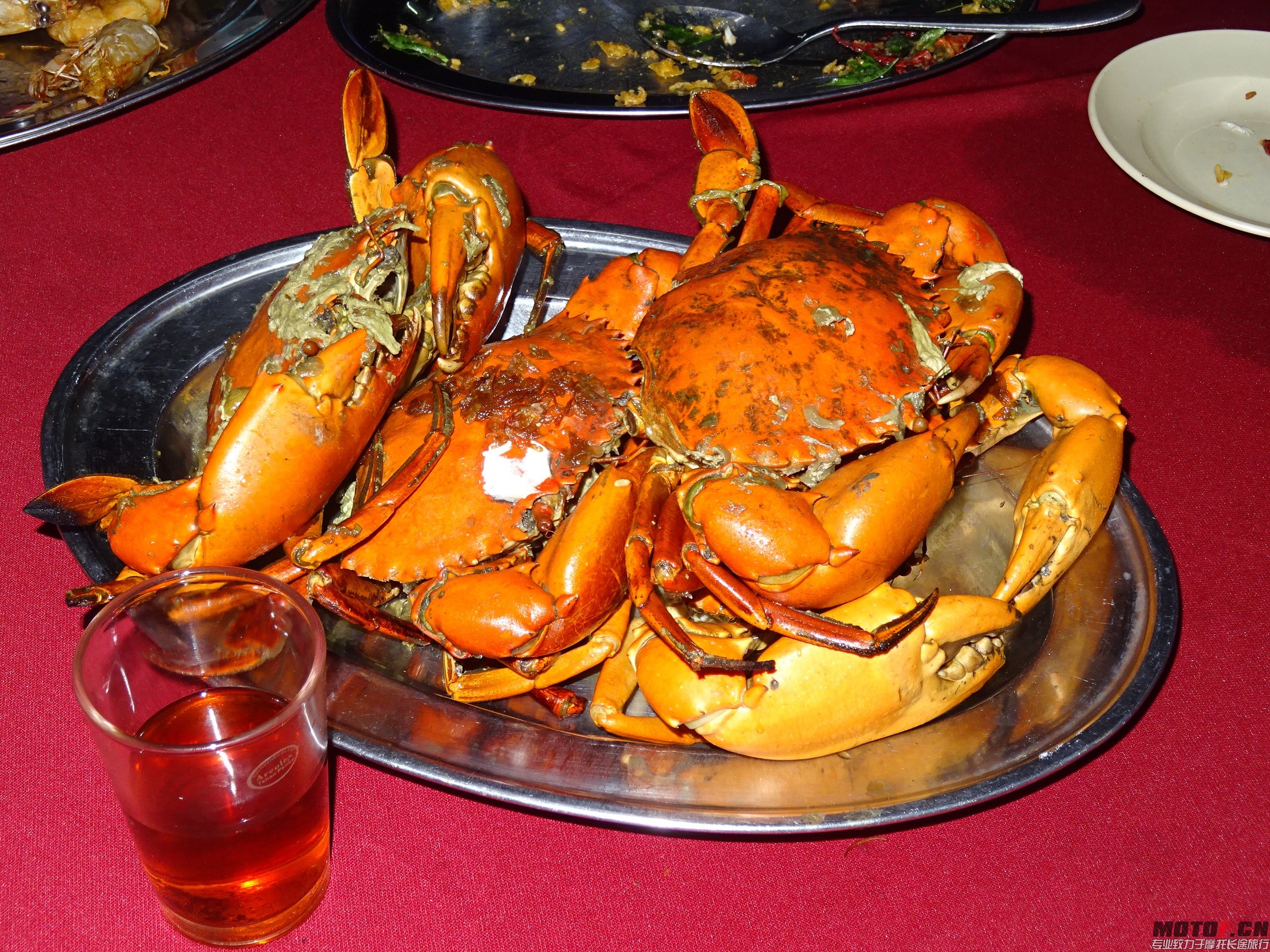 DSC01122.jpg