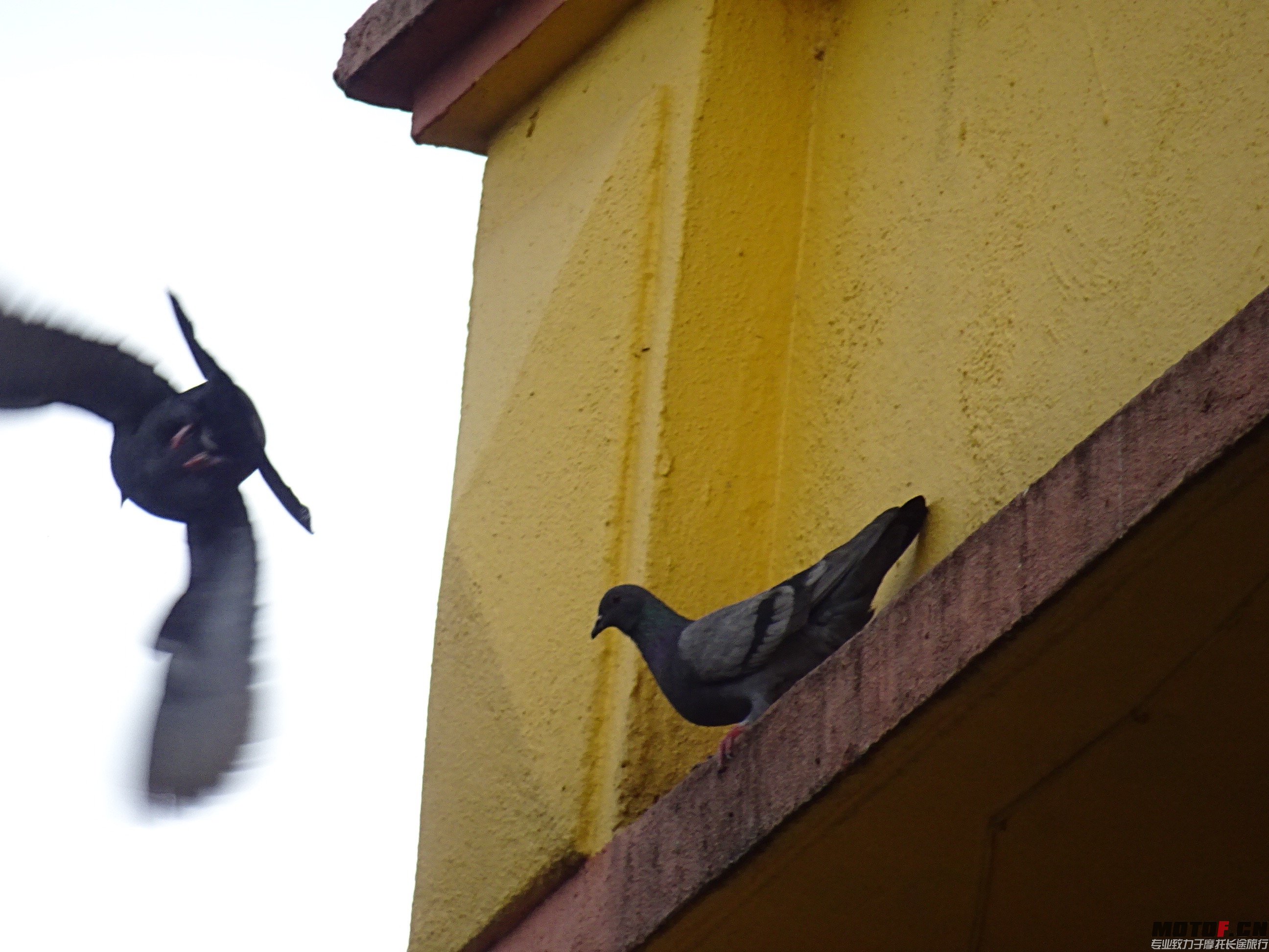 DSC01134.jpg