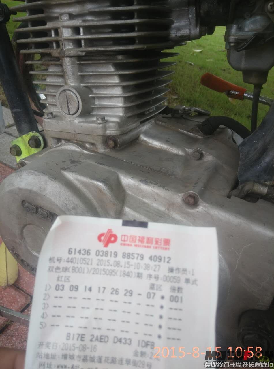 9152027322276616273.jpg