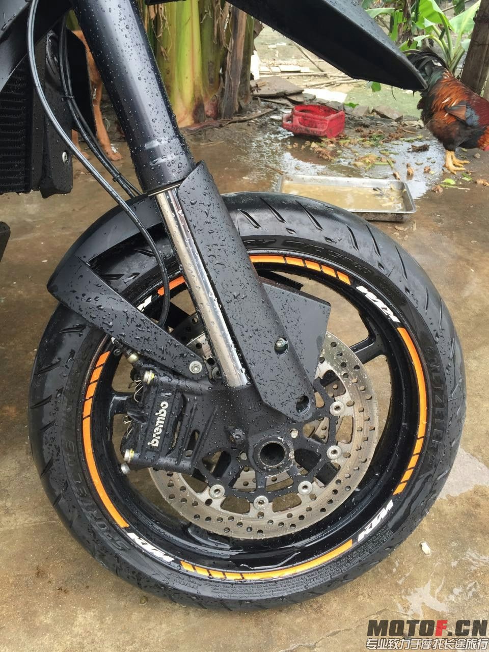 mmexport1437187418631.jpg