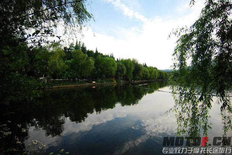 DSC_0203.jpg