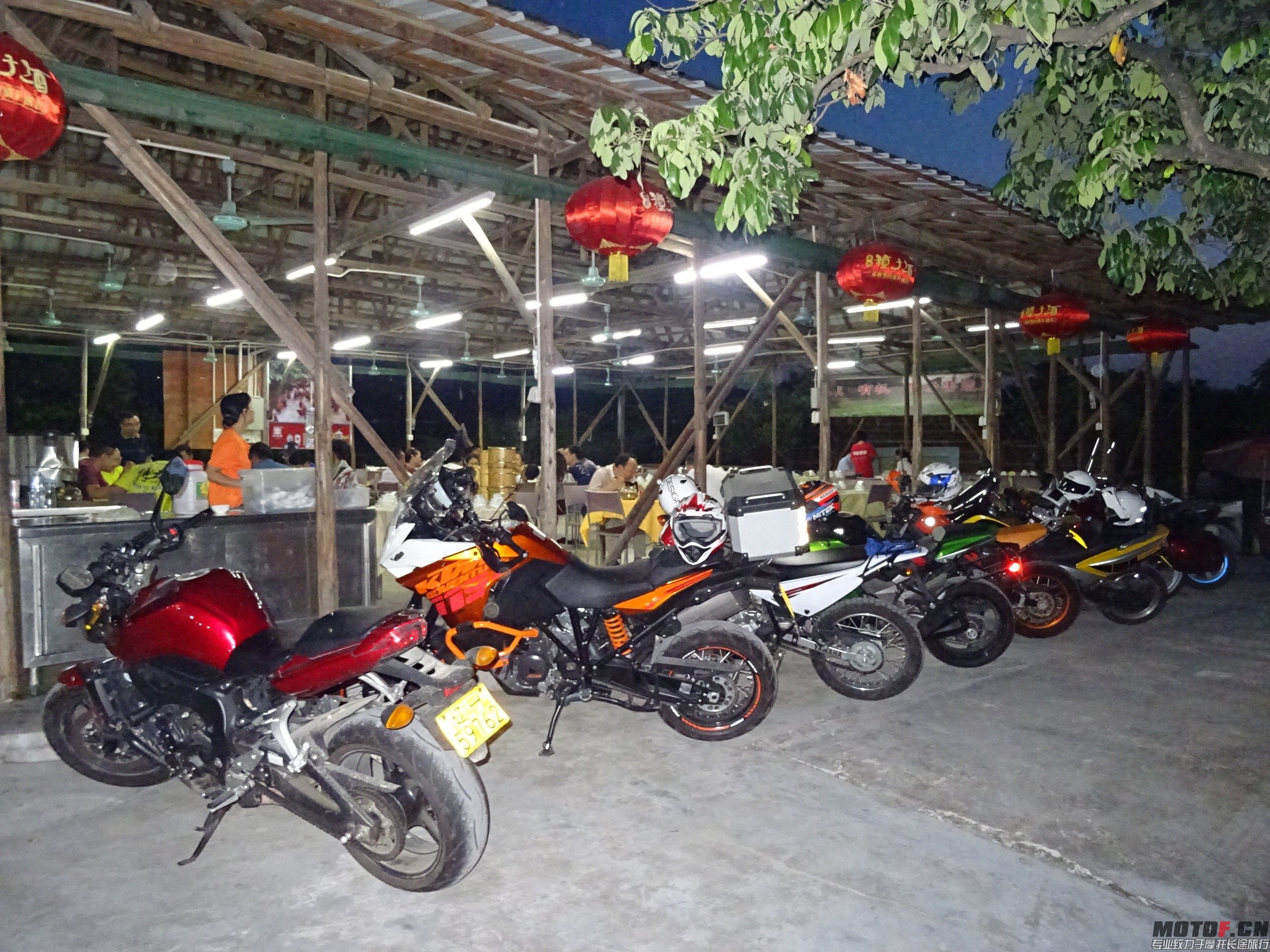 DSC01260.jpg
