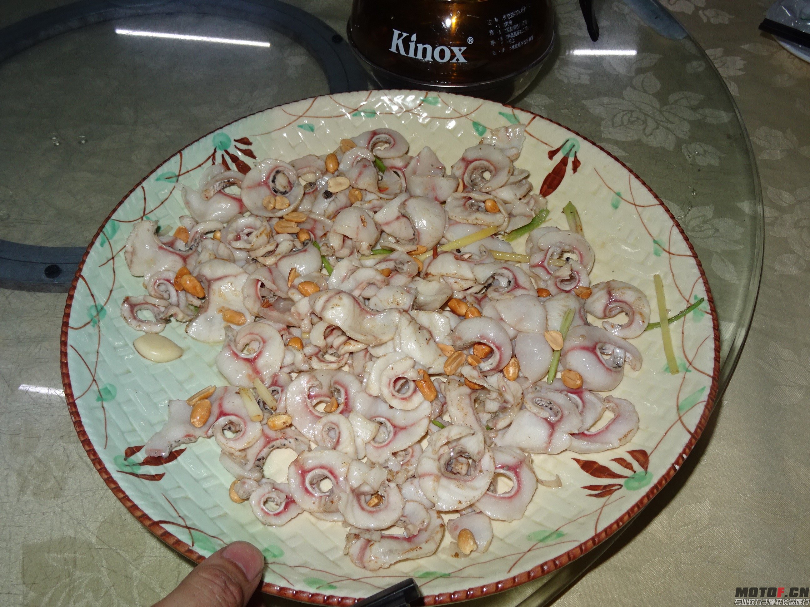 DSC01264.jpg