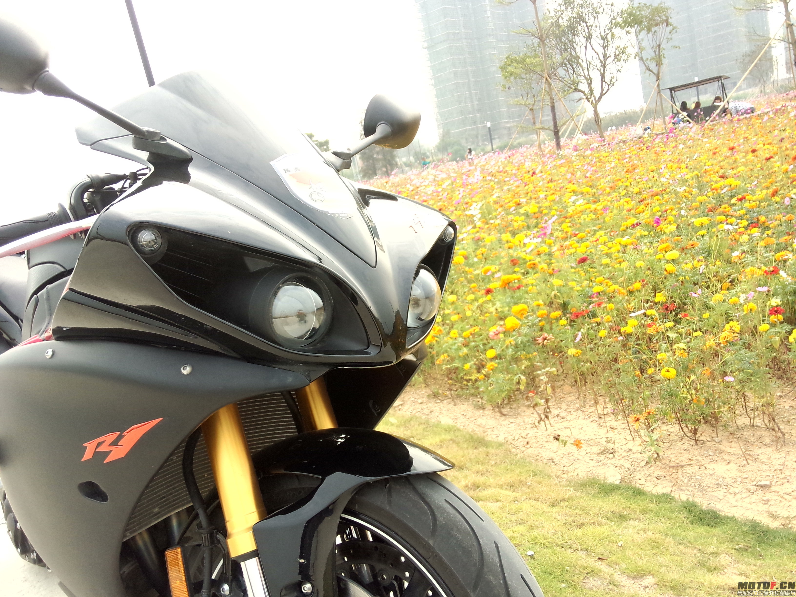P41104-143706.jpg