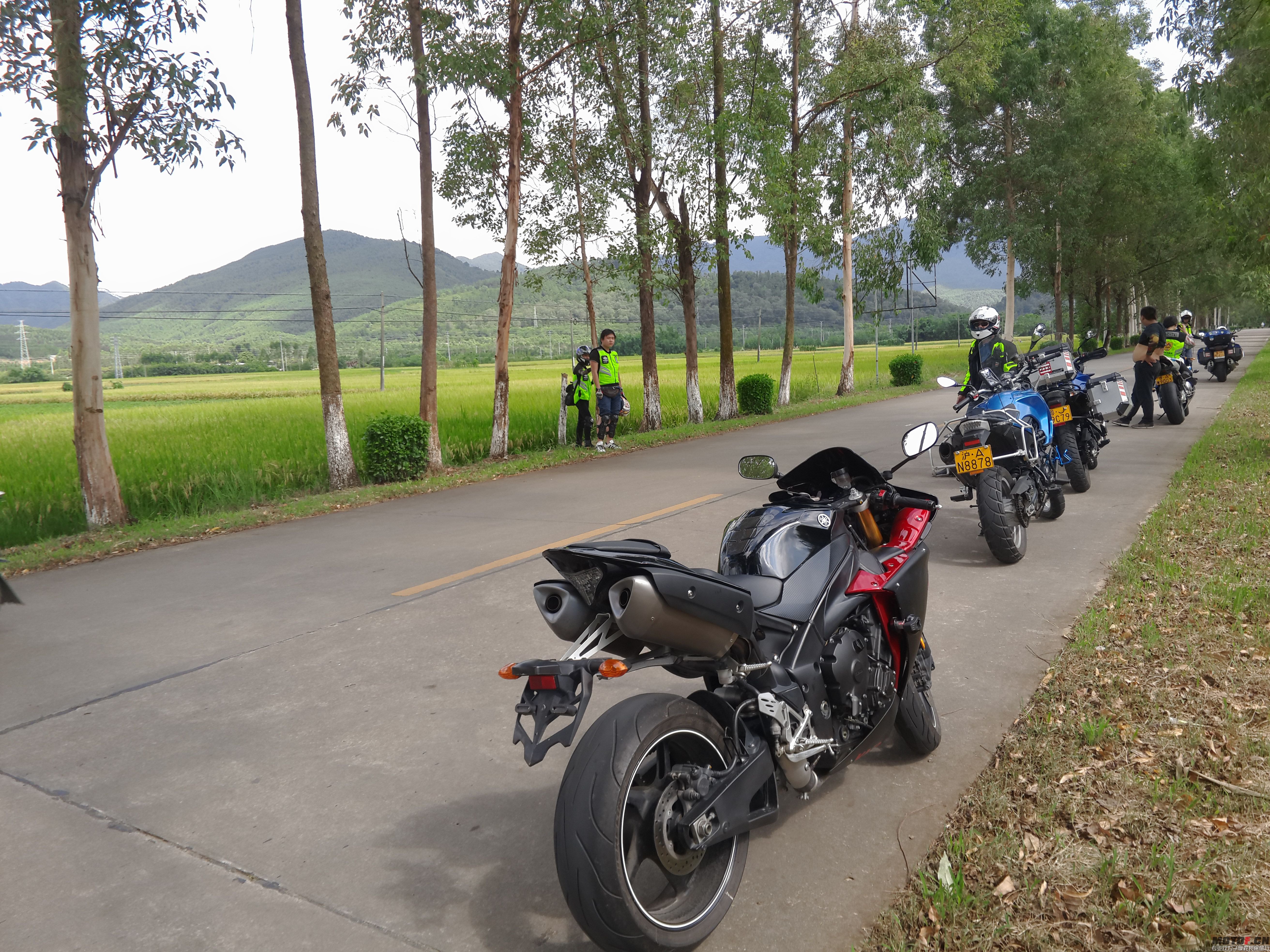 P50628-152932.jpg