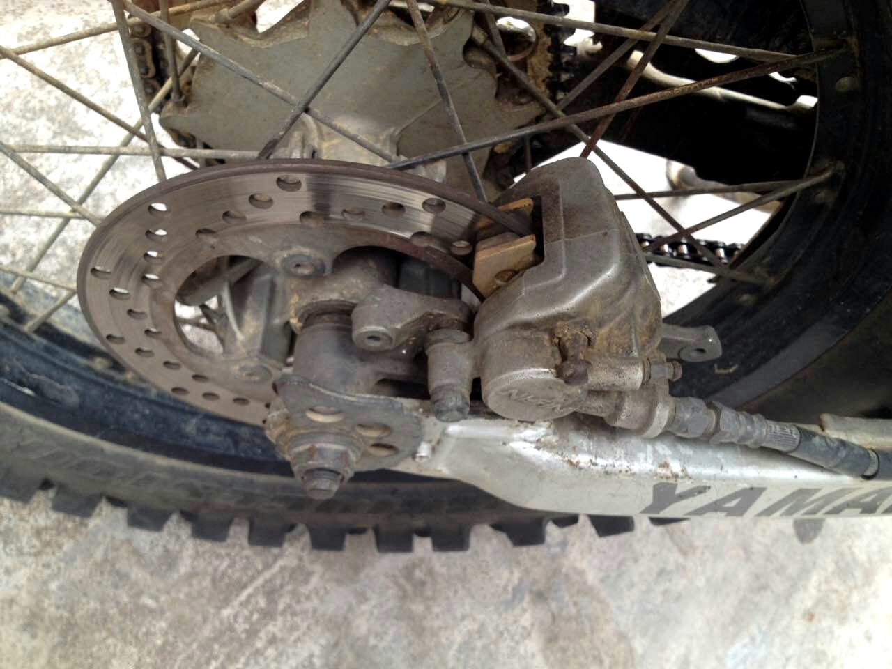 mmexport1441883216830.jpg